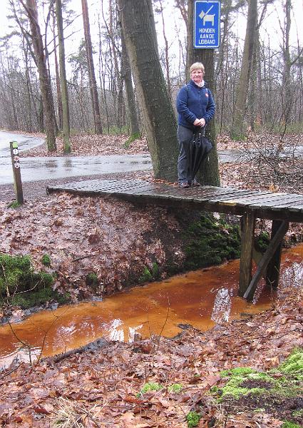 Winterwandeling-Kiewit (15).jpg